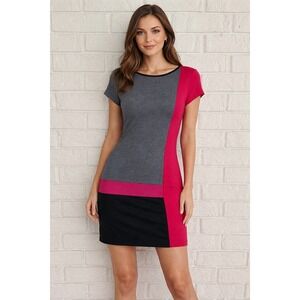 Jessica Howard Womens Colorblock Sheath Dress Grey Black Pink Size S